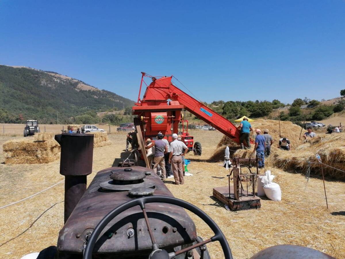 laquila festa della trebbiatura si rinnova la tradizione
