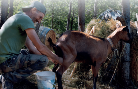 INTRODACQUA: TORNA LA PASCOLATA, UNA DUE GIORNI DEDICATA AL MONDO DELLA PASTORIZIA E PRODOTTI SANI