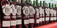 GESSOPALENA: LA “VEDOVELLA” MEDAGLIA D’ORO A CONCORSO INTERNAZIONALE VINI EROICI DI MONTAGNA CERVIM