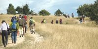 TRATTURO MAGNO L’AQUILA FOGGIA, AL VIA 25 MAGGIO VIAGGIO IN 12 TAPPE LUNGO LE VIE DELLA TRANSUMANZA