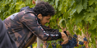 IN ABRUZZO “CANTINE APERTE IN VENDEMMIA”, DAL 5 SETTEMBRE AL 25 OTTOBRE